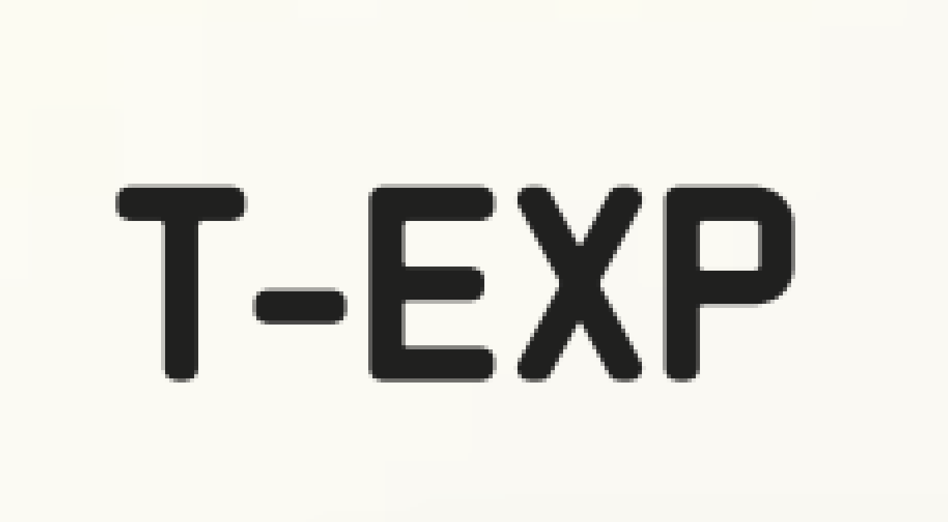 T-our Experience Logo